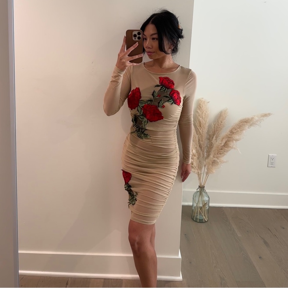 Forever 21 - Nude & Roses Long Sleeve Mesh Ruched Dress